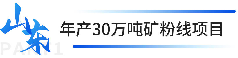 山东年产30万吨矿粉线项目