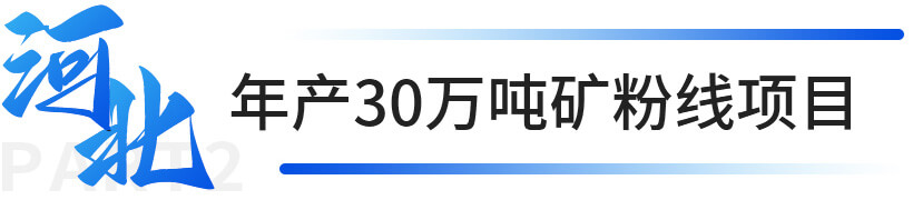 河北年产30万吨矿粉线项目